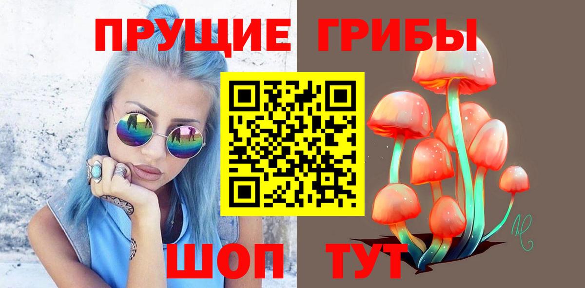 Псилоцибиновые грибы мицелий  Вход с VPN  Галлюциногенные грибы GOLDEN TEACHER  Назрань 