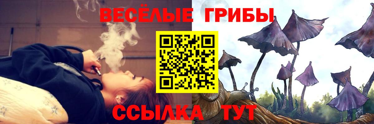 Галлюциногенные грибы Psilocybine cubensis Назрань