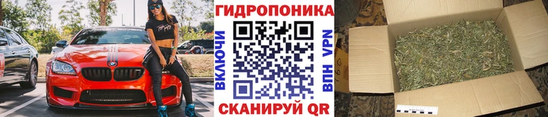 Бошки марихуана марихуана  Назрань 